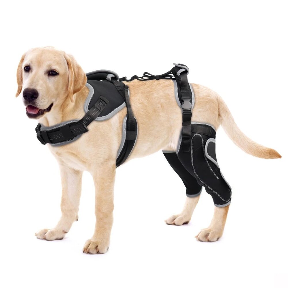 NEW - LISPOO Adjustable Knee Brace for Dogs Back Leg With Metal Splint, LARGE
